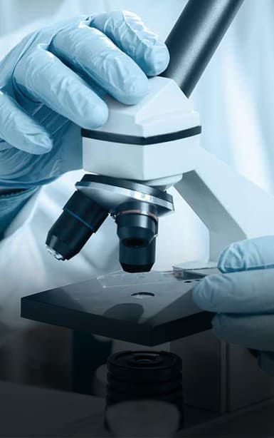 Investment Highlights