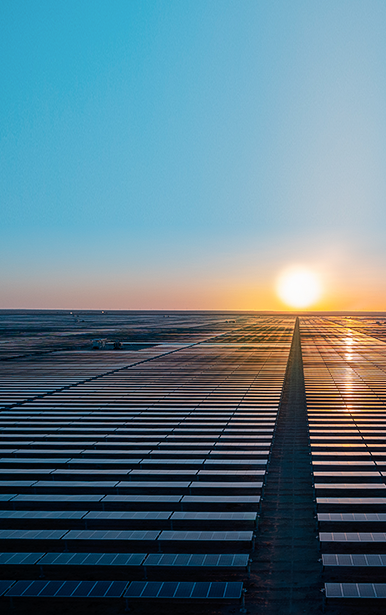 Investment Highlights